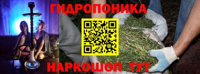 наркотики Гатчина