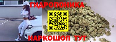 стаф Гагарин