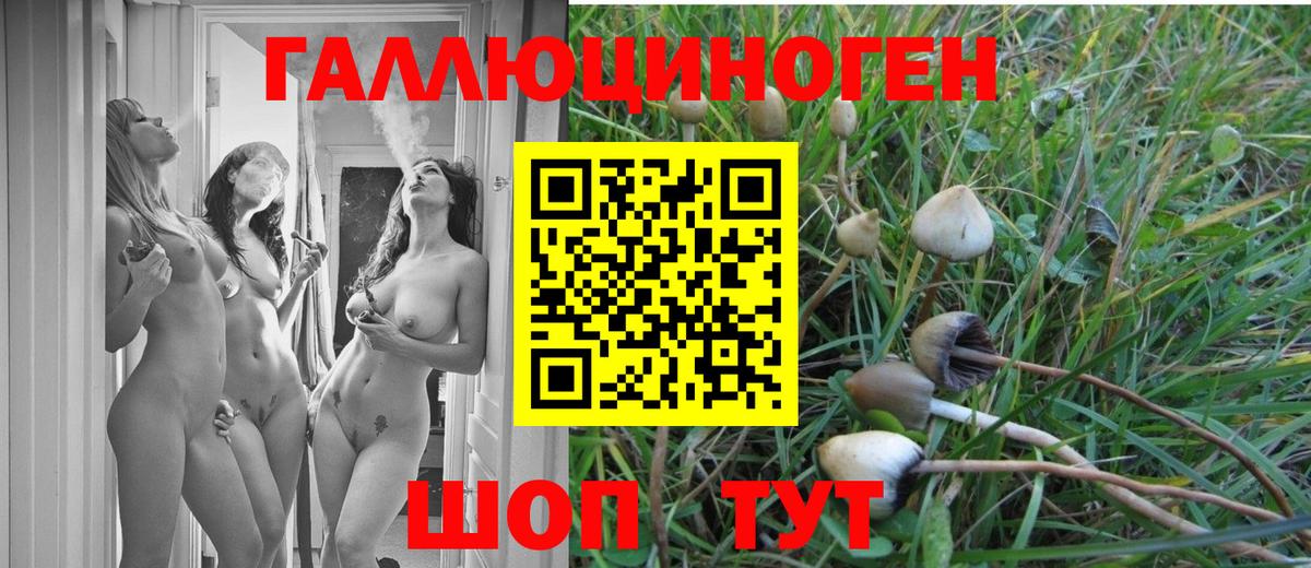 Ефремов  Галлюциногенные грибы ЛСД  Вход с VPN 